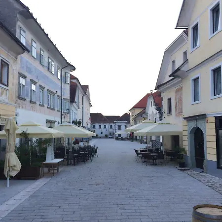 Apartma Linhartov Trg * Радовлица