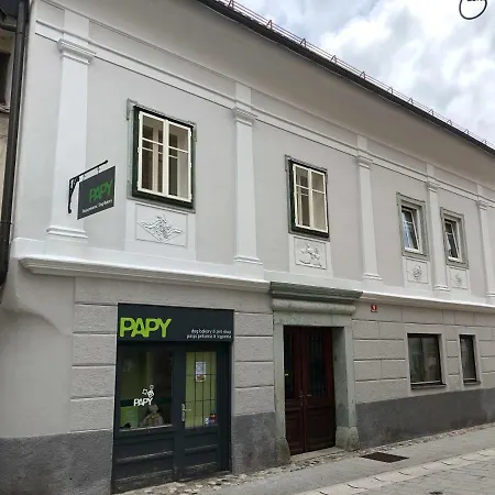 Apartma Linhartov Trg Daire *