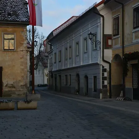 Apartma Linhartov Trg * Radovljica