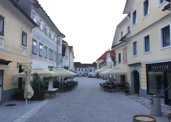 Apartma Linhartov Trg * رادوفيتْسا