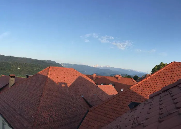 Apartma Linhartov Trg