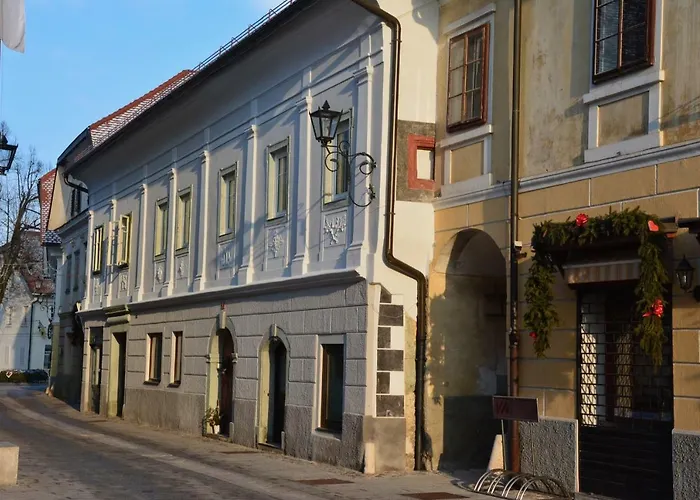 Apartma Linhartov Trg شقة *