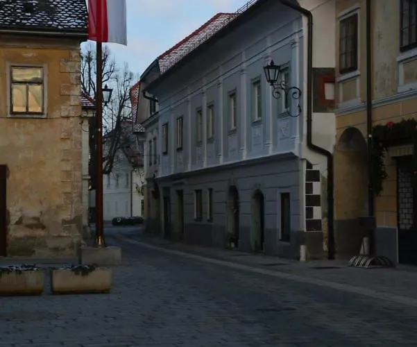 Apartma Linhartov Trg * رادوفيتْسا