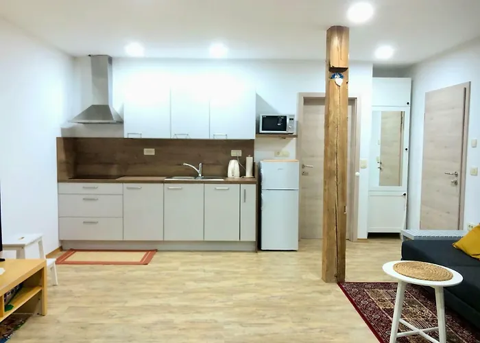 Apartma Linhartov Trg شقة