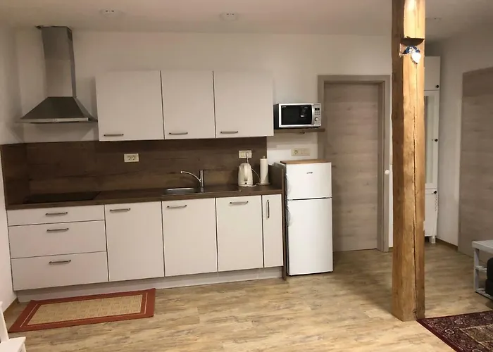 شقة Apartma Linhartov Trg *