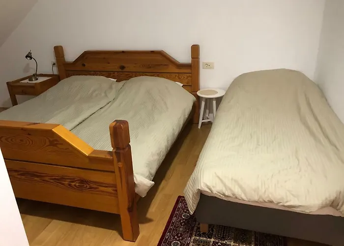 Apartma Linhartov Trg רדובליצ'ה